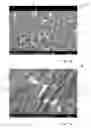 Fig. 02 - Steel based composite material