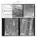 Fig. 07 - Self assembled multi-layer nanocomposite of graphene and metal oxide materials