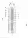 Fig. 02 - Fuel cell separator having reactant gas channels with different cross sections and fuel cell comprising the same