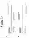 Fig. 19 - Methods For Amplification of Nucleic Acids Using Spanning Primers