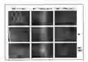 Fig. 01 - Peptide sequence that promotes tumor invasion