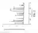 Fig. 06 - Method for diagnosing spinal muscular atrophy