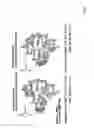 Fig. 05 - RNA-selective hybridization reagent and use of the same