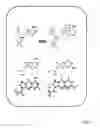 Fig. 06 - RNA-selective hybridization reagent and use of the same