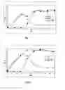 Fig. 02 - Method for the determination of infections and diagnostic composition for such methods