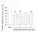 Fig. 02 - Method for evaluation or selection of adiponectin secretion regulator