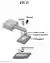 Fig. 22 - Mussel bioadhesive