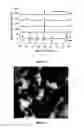 Fig. 05 - IMPROVED METHODS FOR PROTEIN PRODUCTION