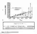 Fig. 19 - ENGINEERING SURFACE EPITOPES TO IMPROVE PROTEIN CRYSTALLIZATION