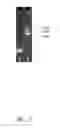 Fig. 03 - CONVECTION POLYMERASE CHAIN REACTION METHOD