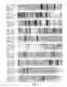 Fig. 04 - Compositions of and methods of using sulfatases from 