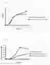 Fig. 03 - L-cysteine-producing bacterium and a method for producing L-cysteine