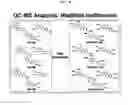 Fig. 09 - METHOD FOR PREPARING ORTHODIHYDROXYISOFLAVONES USING A BIOTRANSFORMATION SYSTEM