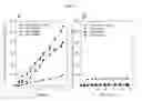 Fig. 03 - Methods for selectively producing hydrogen and methane from biomass feedstocks using an anaerobic biological system