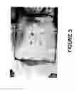 Fig. 06 - MICROCHIP-BASED ACOUSTIC TRAPPING OR CAPTURE OF CELLS FOR FORENSIC ANALYSIS AND RELATED METHOD THEREOF