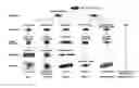 Fig. 01 - Marker for stem cells and its use