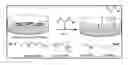 Fig. 01 - METHODS AND COMPOSITIONS FOR GROWTH OF CELLS AND EMBRYONIC TISSUE ON A SYNTHETIC POLYMER MATRIX
