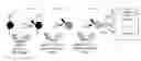 Fig. 01 - Transcriptome transfer produces cellular phenotype conversion