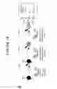 Fig. 02 - Transcriptome transfer produces cellular phenotype conversion
