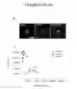 Fig. 07 - Transcriptome transfer produces cellular phenotype conversion
