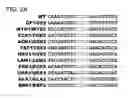 Fig. 04 - RATIONALLY-DESIGNED MEGANUCLEASES WITH RECOGNITION SEQUENCES FOUND IN DNASE HYPERSENSITIVE REGIONS OF THE HUMAN GENOME
