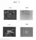 Fig. 08 - Canine iPS cells and method of producing same