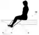 Fig. 01 - SURF PERCH