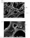 Fig. 02 - Ventilative and Absorptive Textile with Porous Material and Preparation Thereof