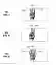Fig. 08 - APPARATUS FOR ASSOCIATING PHYSICAL CHARACTERISTICS WITH COMMANDS