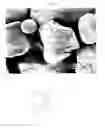 Fig. 02 - Sintering Aid Coated YAG Powders and Agglomerates and Methods for Making