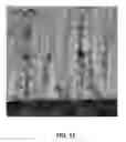 Fig. 08 - VERTICALLY-ALIGNED NANOPILLAR ARRAY ON FLEXIBLE, BIAXIALLY-TEXTURED SUBSTRATES FOR NANOELECTRONICS AND ENERGY CONVERSION APPLICATIONS