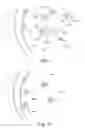 Fig. 06 - Systems and methods for immunosorbent assays for single and multiple analytes
