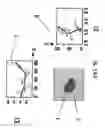 Fig. 07 - METHOD AND DEVICE FOR DETERMINING THE RELEVANCE OF SAMPLE ARRAY PREPARATIONS
