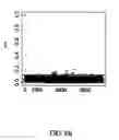 Fig. 09 - METHOD AND DEVICE FOR DETERMINING THE RELEVANCE OF SAMPLE ARRAY PREPARATIONS