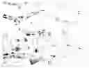 Fig. 01 - Monoclonal antibodies with binding specificity for response gene to complement 32 (RGC-32)