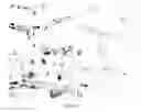 Fig. 08 - Monoclonal antibodies with binding specificity for response gene to complement 32 (RGC-32)