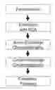 Fig. 01 - Bis-met histones
