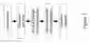 Fig. 02 - Bis-met histones
