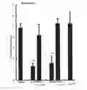 Fig. 09 - Oxyntomodulin for Preventing or Treating Excess Weight
