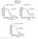 Fig. 03 - Methods and compositions for inhibiting cell migration and treatment of inflammatory conditions