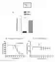 Fig. 04 - Methods and compositions for inhibiting cell migration and treatment of inflammatory conditions