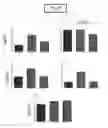 Fig. 07 - Methods and compositions for inhibiting cell migration and treatment of inflammatory conditions