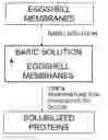 Fig. 01 - Process for solubilizing protein from a proteinaceous material and compositions thereof
