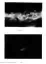 Fig. 08 - Use of pharmaceutical compound in the treatment of wounds