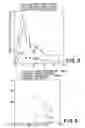 Fig. 04 - Methods for alleviating deleterious effects of 3-deoxyglucosone