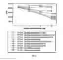 Fig. 04 - Inhibitors of DNA Immunostimulatory Sequence Activity