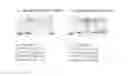 Fig. 03 - Double-stranded lipid-modified RNA having high RNA interference effect