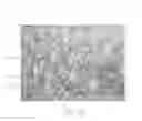 Fig. 06 - Artificial marble, and system and method of producing artificial marble