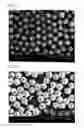Fig. 05 - Process for producing sugar-plum-shaped particle