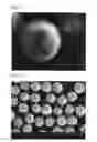Fig. 09 - Process for producing sugar-plum-shaped particle